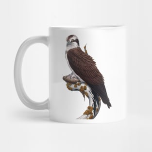 Osprey Mug